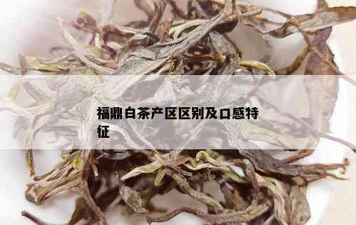 福鼎白茶产区区别及口感特征