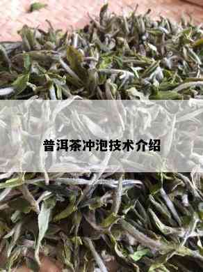 普洱茶冲泡技术介绍