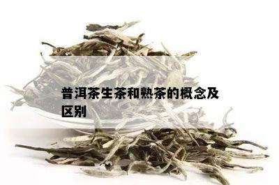 普洱茶生茶和熟茶的概念及区别