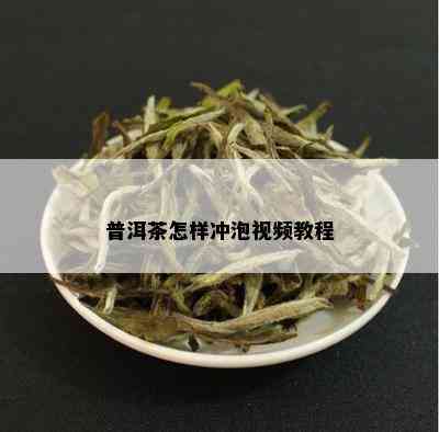 普洱茶怎样冲泡视频教程