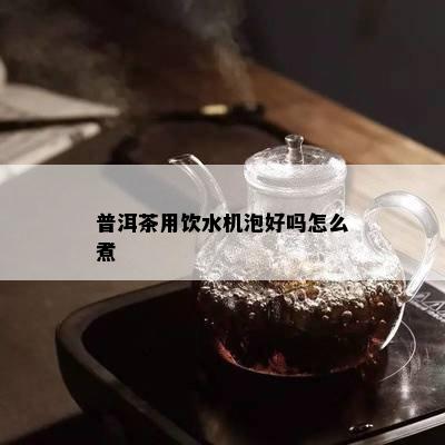 普洱茶用饮水机泡好吗怎么煮