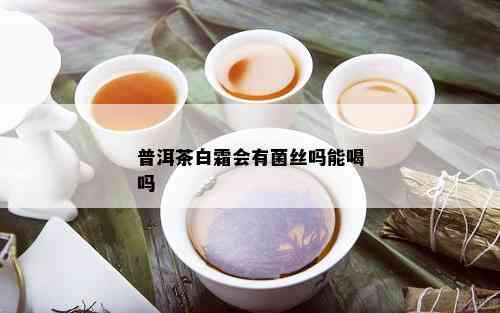 普洱茶白霜会有菌丝吗能喝吗