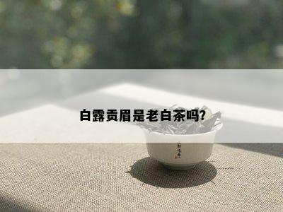 白露贡眉是老白茶吗？