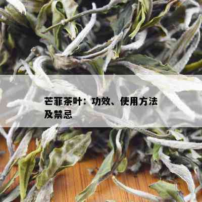 芒菲茶叶：功效、使用方法及禁忌