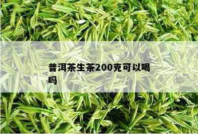 普洱茶生茶200克可以喝吗