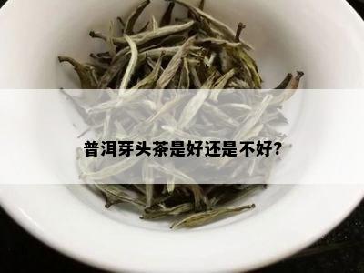 普洱芽头茶是好还是不好?