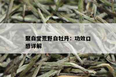 聚白堂荒野白牡丹：功效口感详解