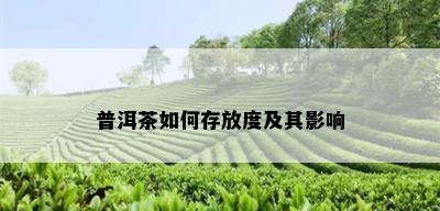 普洱茶如何存放度及其影响