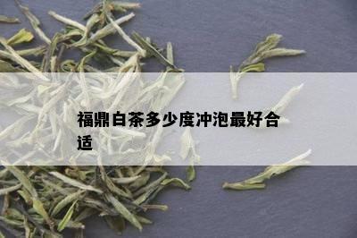 福鼎白茶多少度冲泡更好合适