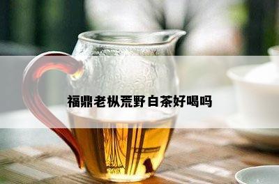 福鼎老枞荒野白茶好喝吗