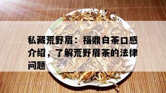 私藏荒野眉：福鼎白茶口感介绍，了解荒野眉茶的法律问题