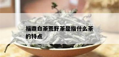 福鼎白茶荒野茶是指什么茶的特点