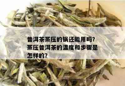 普洱茶蒸压的锅还能用吗？蒸压普洱茶的温度和步骤是怎样的？