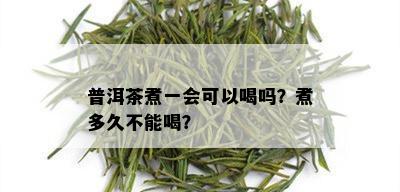 普洱茶煮一会可以喝吗？煮多久不能喝？