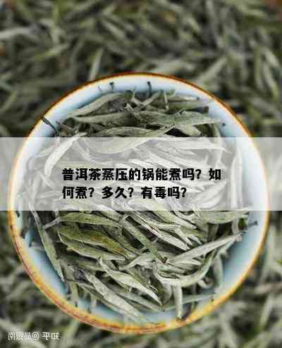 普洱茶蒸压的锅能煮吗？如何煮？多久？有吗？