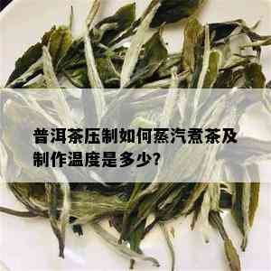 普洱茶压制如何蒸汽煮茶及制作温度是多少？