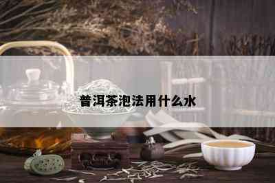 普洱茶泡法用什么水