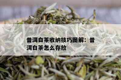 普洱白茶收纳技巧图解：普洱白茶怎么存放