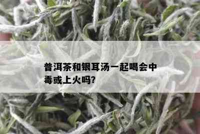 普洱茶和银耳汤一起喝会中或上火吗？