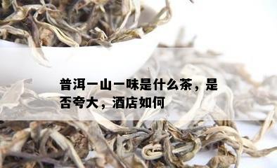 普洱一山一味是什么茶，是否夸大，店如何