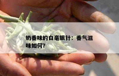 奶香味的白毫银针：香气滋味如何？