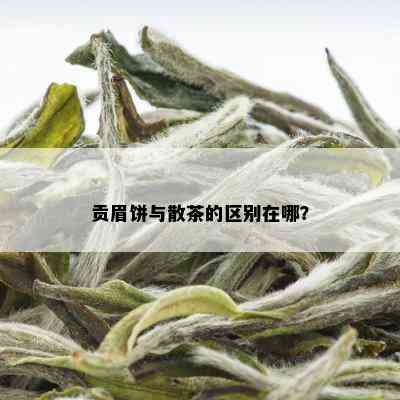 贡眉饼与散茶的区别在哪？