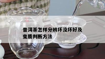 普洱茶怎样分辨坏没坏好及变质判断方法