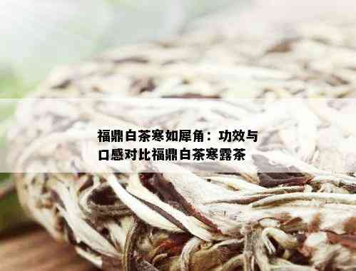 福鼎白茶寒如犀角：功效与口感对比福鼎白茶寒露茶