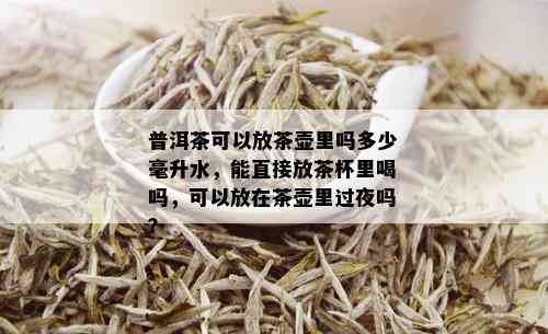 普洱茶可以放茶壶里吗多少毫升水，能直接放茶杯里喝吗，可以放在茶壶里过夜吗？