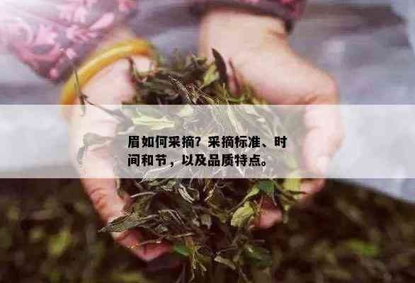 眉如何采摘？采摘标准、时间和节，以及品质特点。