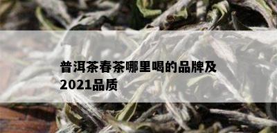 普洱茶春茶哪里喝的品牌及2021品质