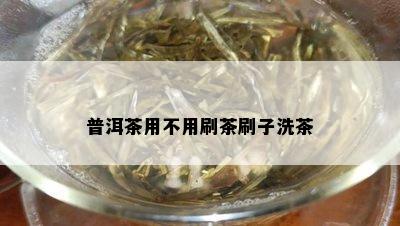 普洱茶用不用刷茶刷子洗茶