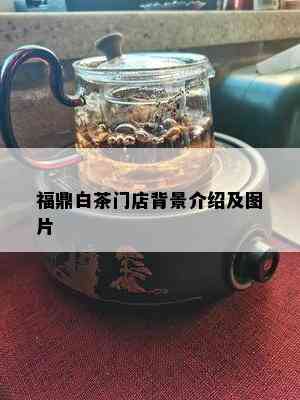 福鼎白茶门店背景介绍及图片