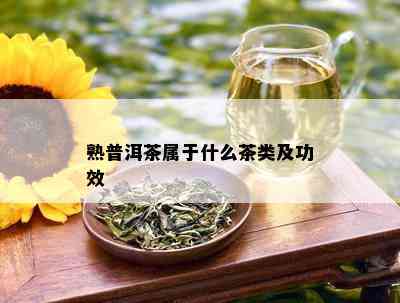 熟普洱茶属于什么茶类及功效