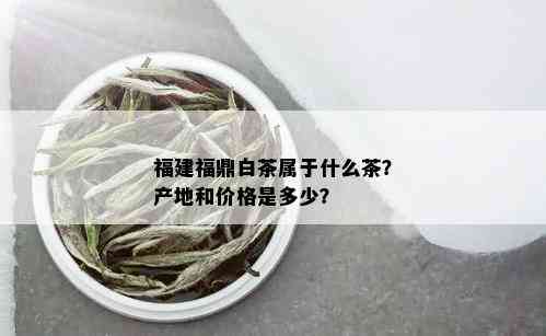 福建福鼎白茶属于什么茶？产地和价格是多少？