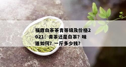 福鼎白茶茶青等级及价格2021：青茶还是白茶？味道如何？一斤多少钱？
