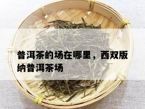 普洱茶的场在哪里，西双版纳普洱茶场