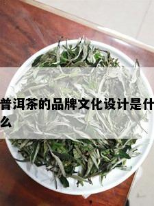 普洱茶的品牌文化设计是什么