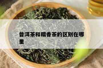 普洱茶和糯香茶的区别在哪里