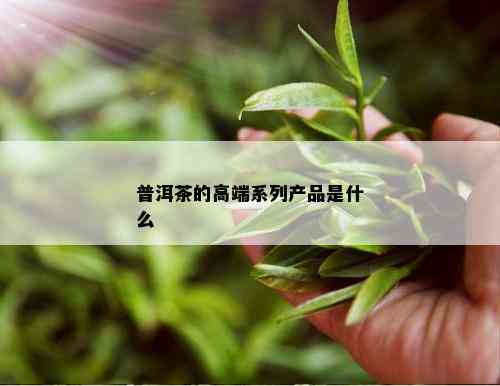 普洱茶的高端系列产品是什么