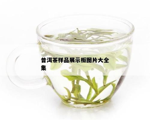 普洱茶样品展示柜图片大全集