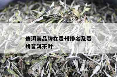 普洱茶品牌在贵州排名及贵州普洱茶叶