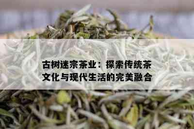 古树迷宗茶业：探索传统茶文化与现代生活的完美融合