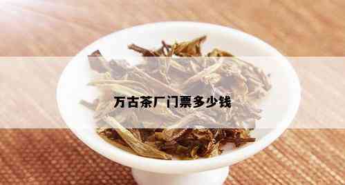 万古茶厂门票多少钱