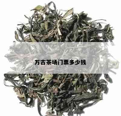 万古茶场门票多少钱