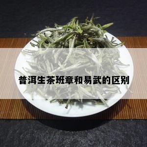 普洱生茶班章和易武的区别