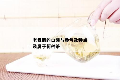 老贡眉的口感与香气及特点及属于何种茶