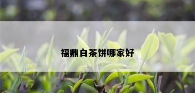 福鼎白茶饼哪家好