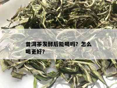 普洱茶发酵后能喝吗？怎么喝更好？