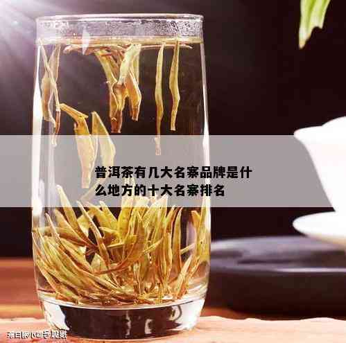 普洱茶有几大名寨品牌是什么地方的十大名寨排名